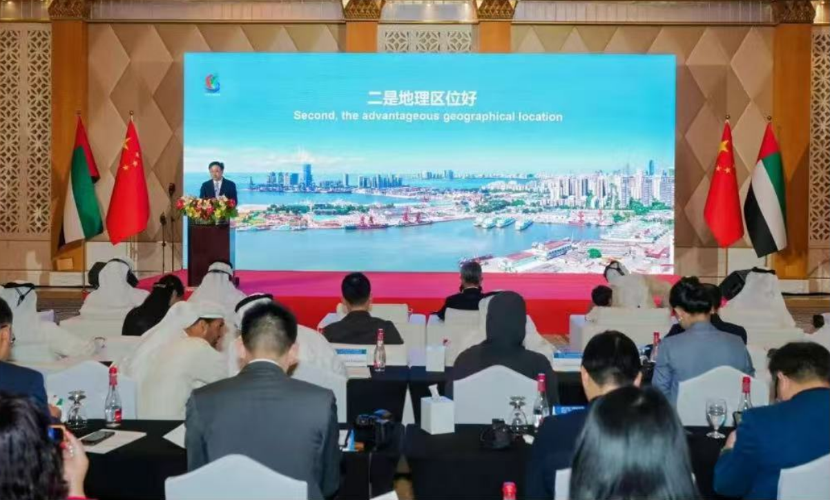 Feng Fei returns to Hainan After Visits to the UAE and Japan