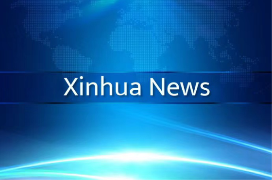 Xi stresses adopting high standards for building Hainan Free Trade Port