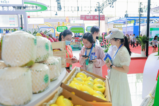 Hainan to Serve as Guest Province at 4th CISCE